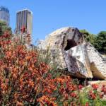Wurrungwuri (This Side Of The Water) by Chris Booth 2011, Royal Botanic Garden Sydney NSW