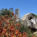 Wurrungwuri (This Side Of The Water) by Chris Booth 2011, Royal Botanic Garden Sydney NSW