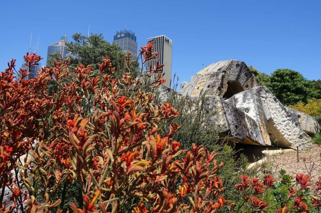 Wurrungwuri (This Side Of The Water) by Chris Booth 2011, Royal Botanic Garden Sydney NSW