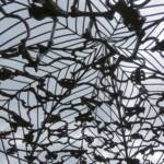 A Folly for Mrs Macquarie by Fiona Hall (2000), Royal Botanic Garden Sydney NSW