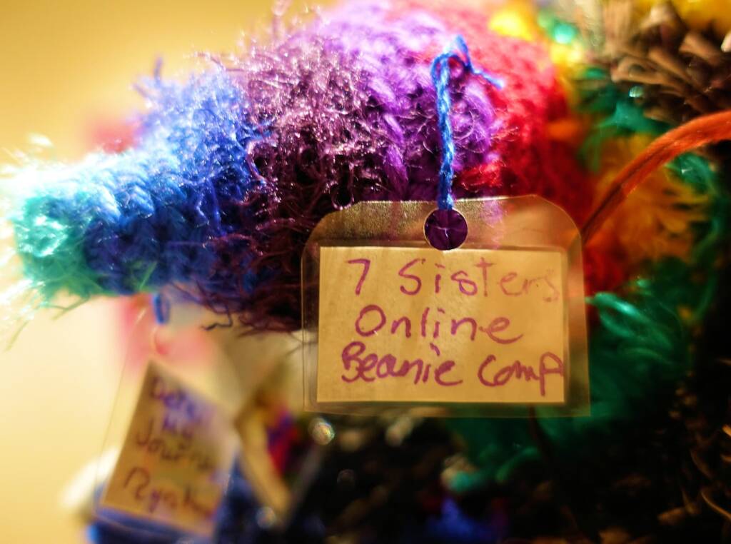 An Emu Stole My Beanie by Meggan Jack, Northern Rivers NSW, Alice Springs Beanie Festival 2023