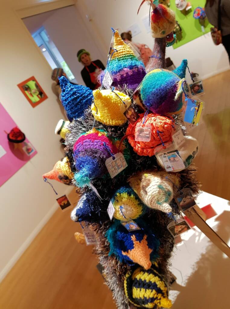 An Emu Stole My Beanie by Meggan Jack, Northern Rivers NSW, Alice Springs Beanie Festival 2023