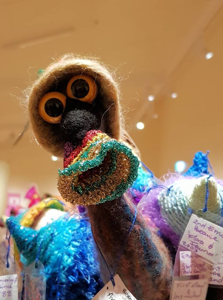 An Emu Stole My Beanie by Meggan Jack, Northern Rivers NSW, Alice Springs Beanie Festival 2023