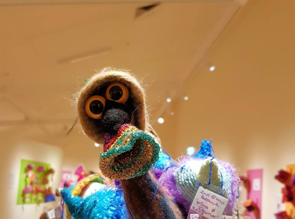 An Emu Stole My Beanie by Meggan Jack, Northern Rivers NSW, Alice Springs Beanie Festival 2023