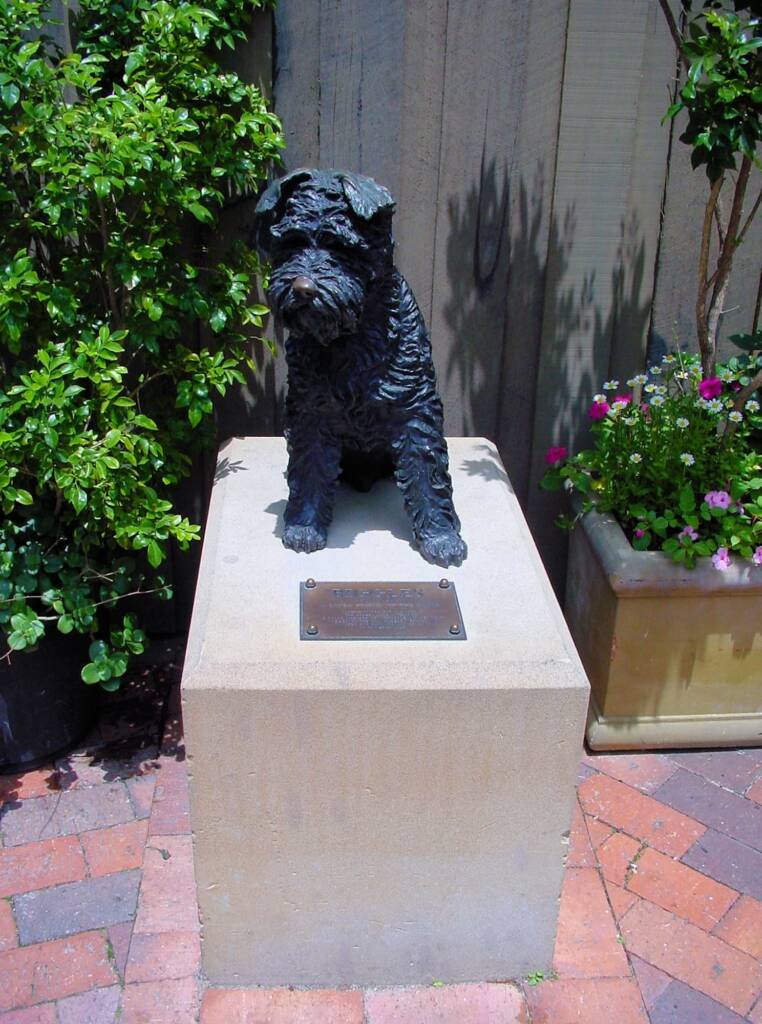 Biggles by Anne Dybka, The Rocks, Sydney NSW
