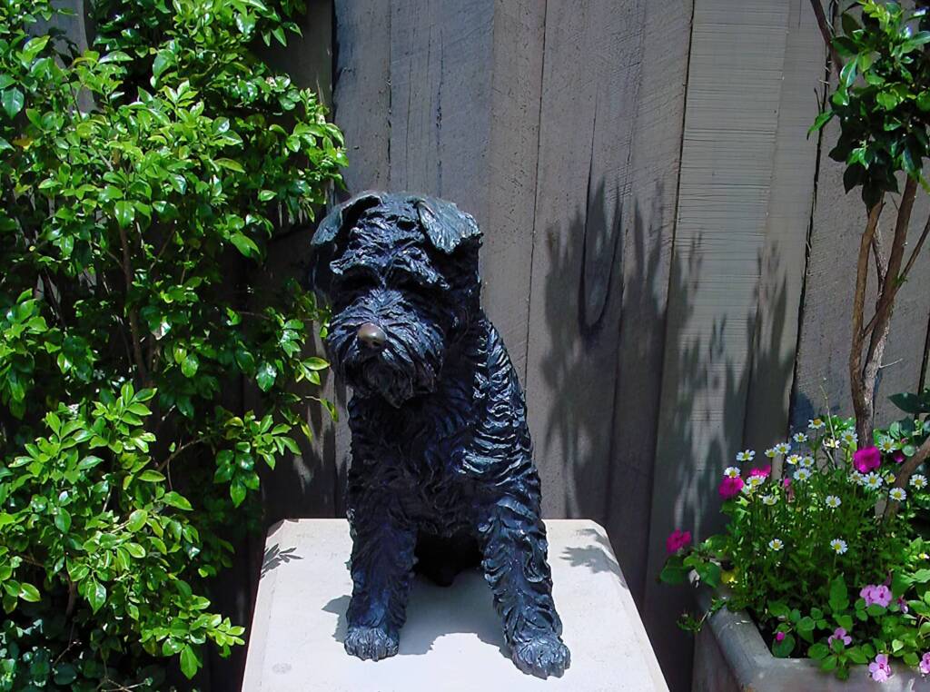 Biggles by Anne Dybka, The Rocks, Sydney NSW
