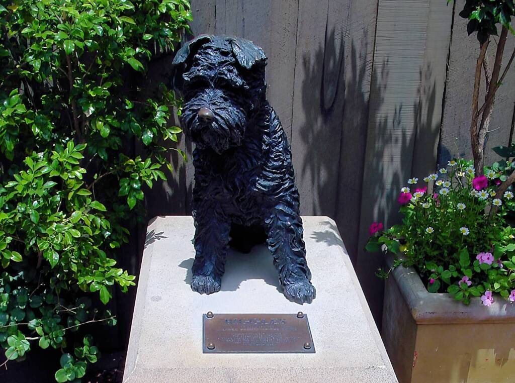 Biggles by Anne Dybka, The Rocks, Sydney NSW