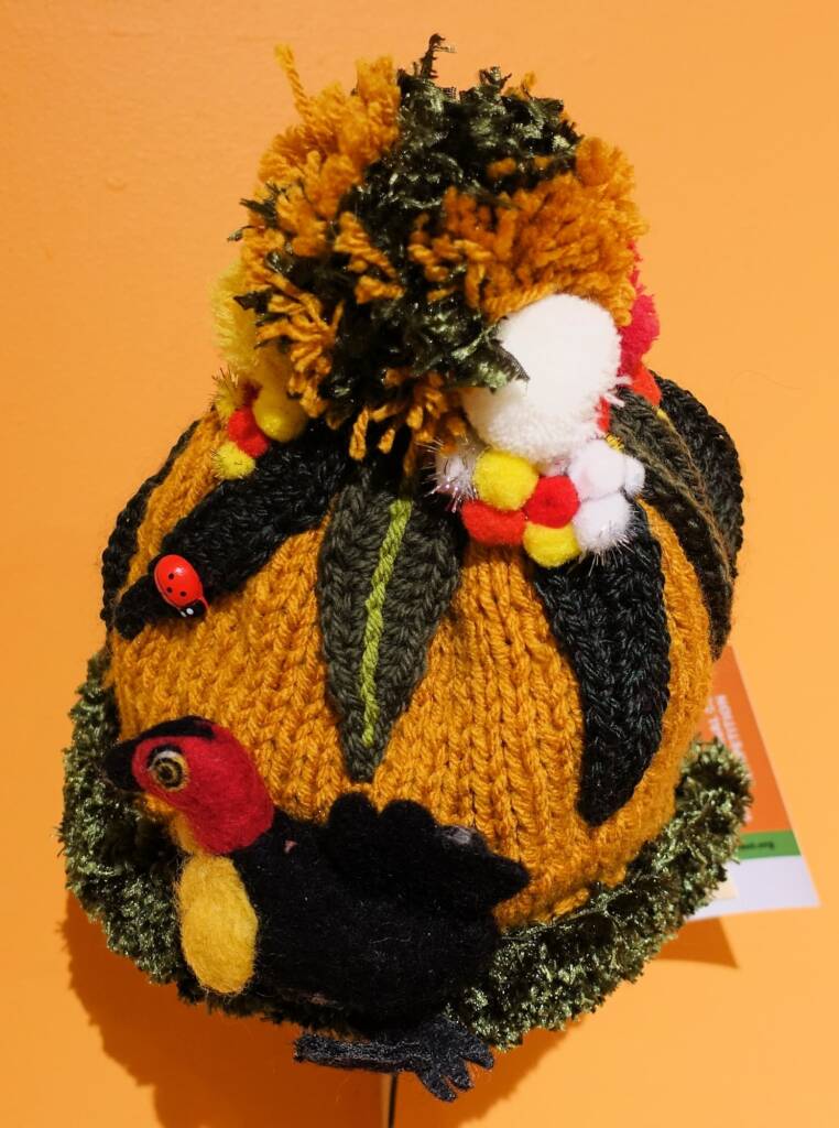 Bush Turkey by Pat Robshaw, Banora NSW, Alice Springs Beanie Festival 2023