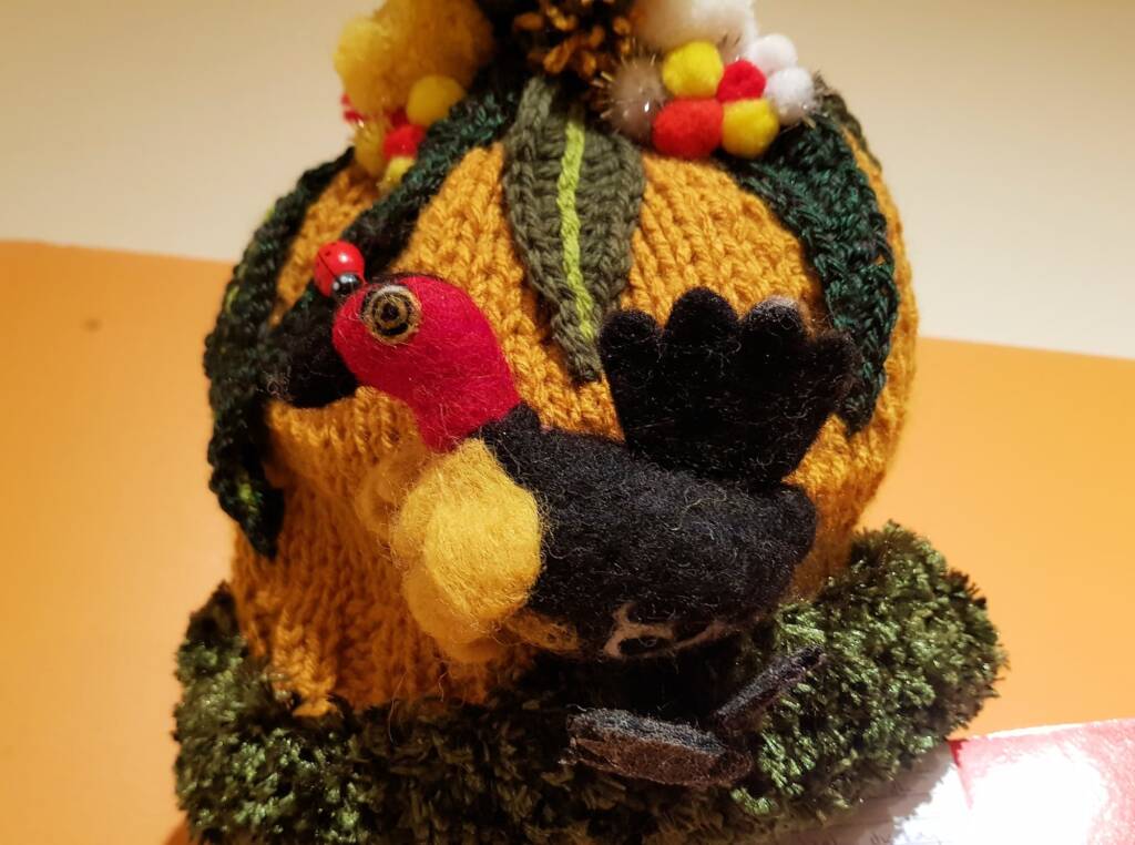 Bush Turkey by Pat Robshaw, Banora NSW, Alice Springs Beanie Festival 2023