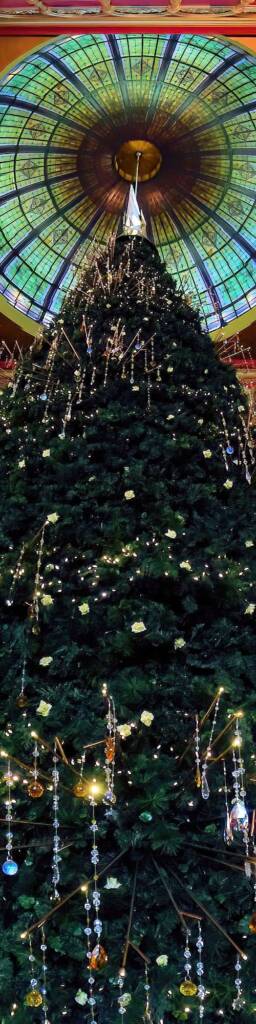 Christmas at the QVB NSW