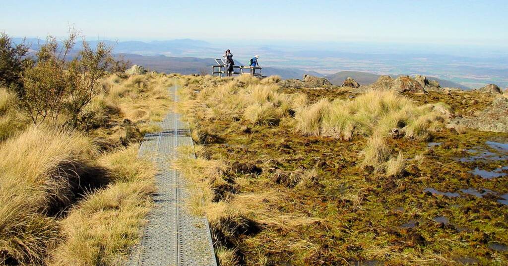 Eckfords Elevated Walkway - Eckfords Lookout, Mt Kaputar National Park NSW