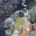 Fairy Bower Rorschach, 2012, artist Ben Quilty