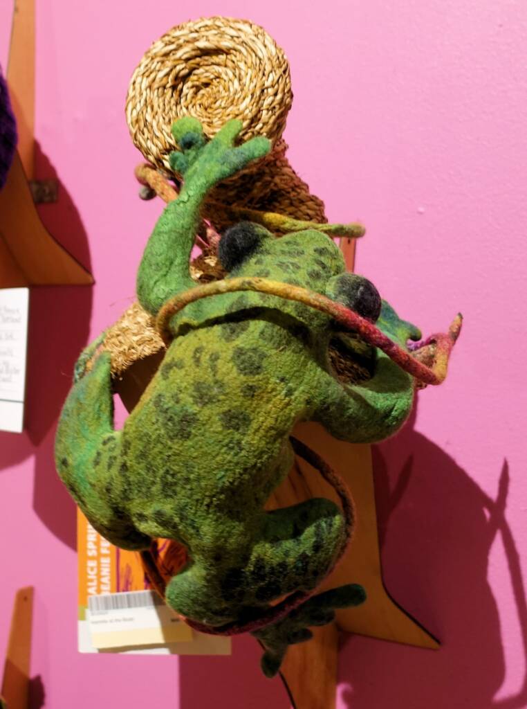 Kermit at the Boab by Jacqueline Gibson, Attadale WA, Alice Springs Beanie Festival 2023