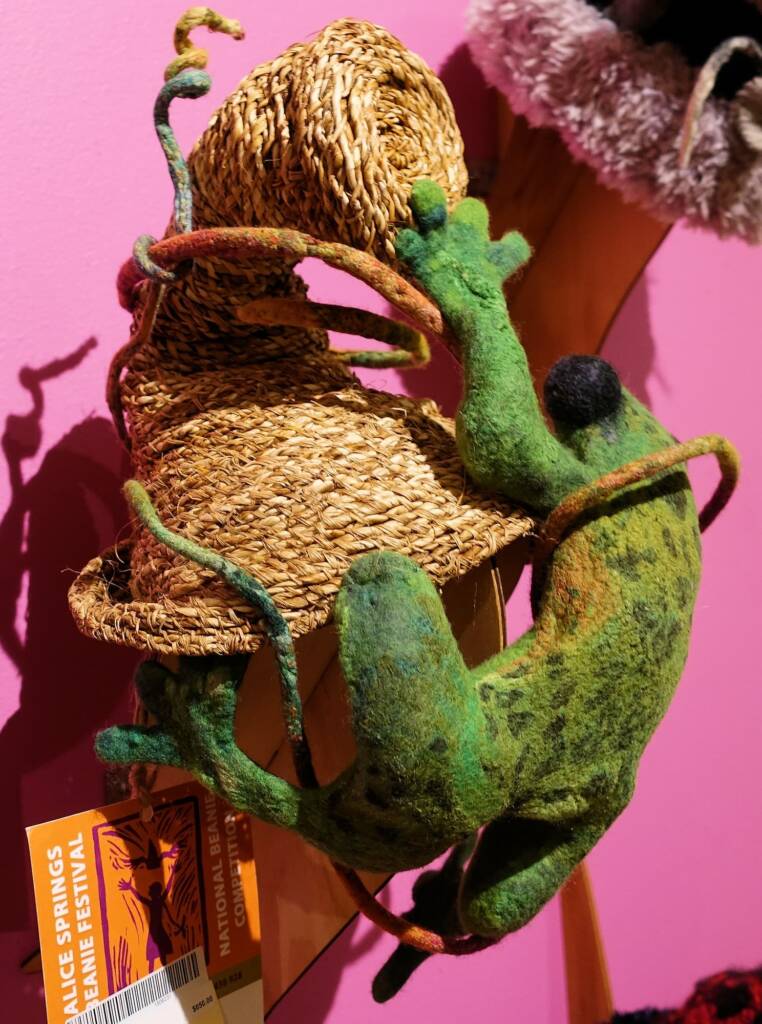 Kermit at the Boab by Jacqueline Gibson, Attadale WA, Alice Springs Beanie Festival 2023