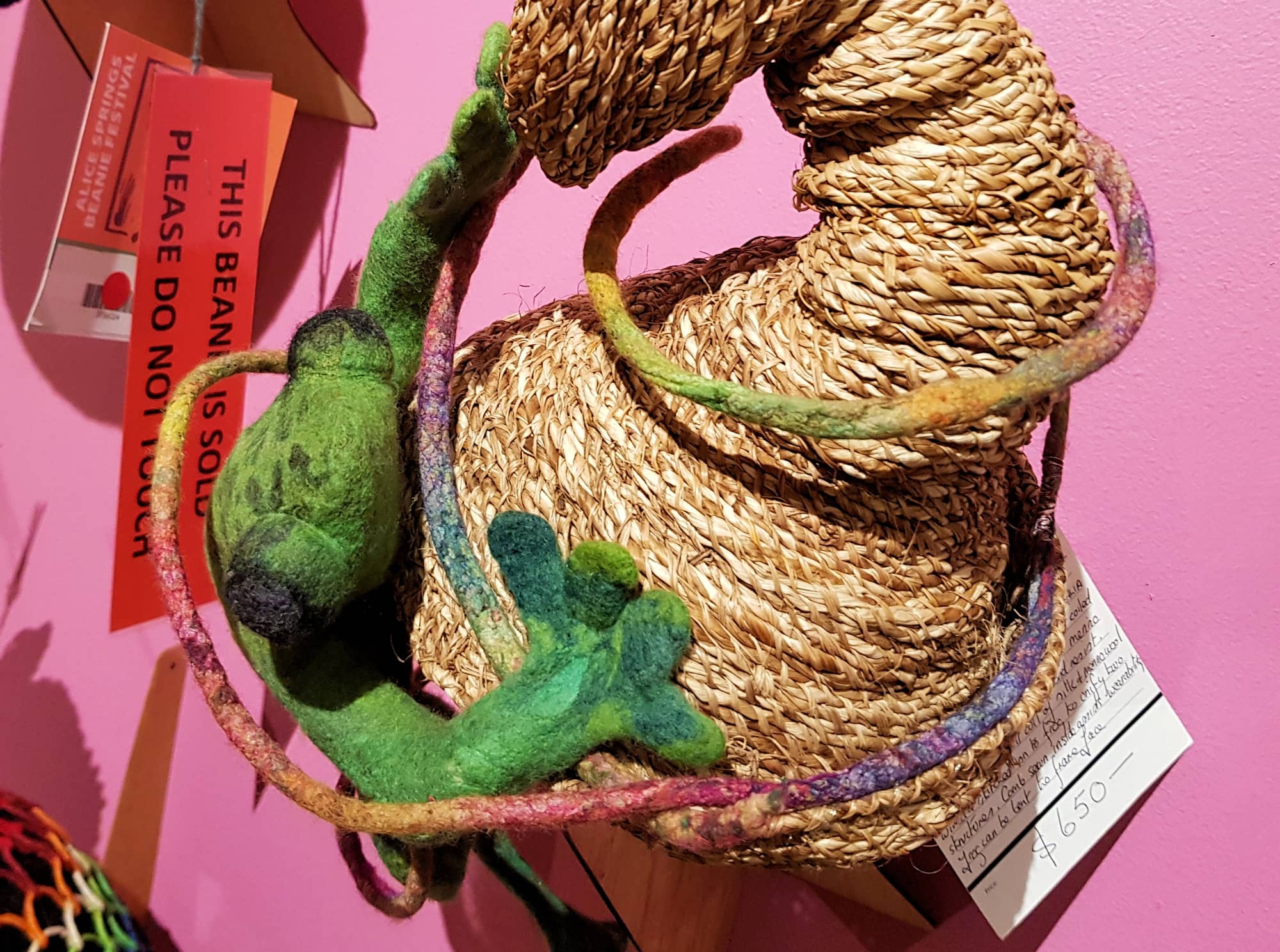 Kermit at the Boab by Jacqueline Gibson, Attadale WA, Alice Springs Beanie Festival 2023