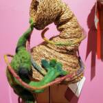 Kermit at the Boab by Jacqueline Gibson, Attadale WA, Alice Springs Beanie Festival 2023