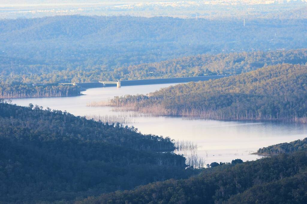 Late afternoon, Lamington National Park, QLD