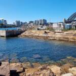 Marrinawi Cove, Barangaroo, Sydney NSW