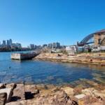 Marrinawi Cove, Barangaroo, Sydney NSW