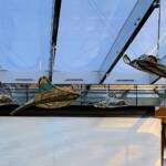 Mermer Waiskeder: Stories of the Moving Tide by the Ghost Net Collective, Exchange Square, Barangaroo, Sydney NSW