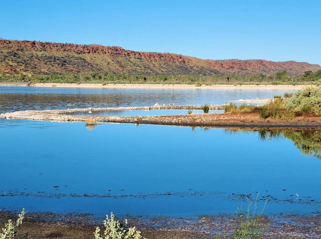 Morning light at the Alice Springs Sewage Ponds NT (8 am April) © Dorothy Latimer