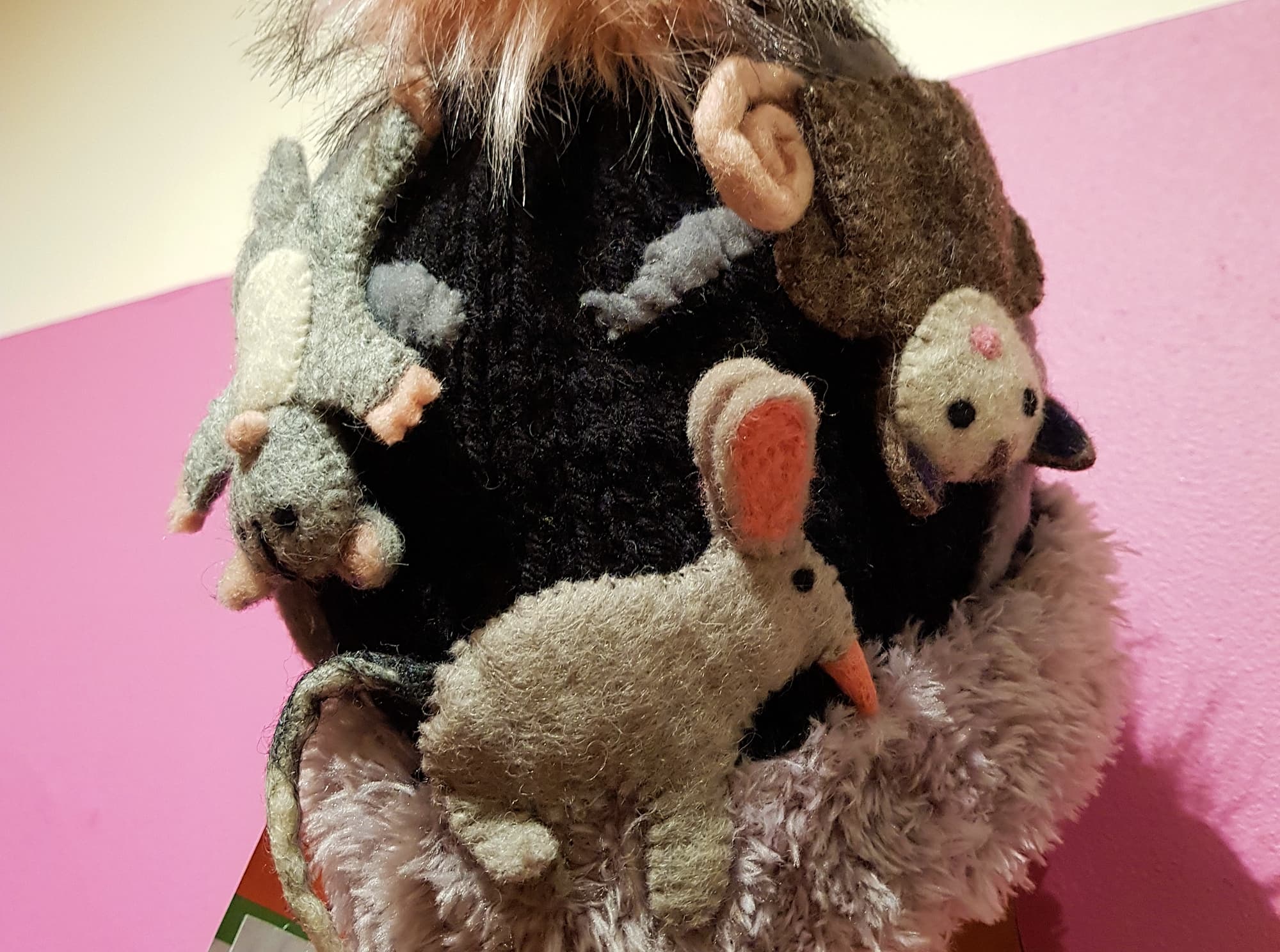 Wildlife at the Beanie Festival 2023