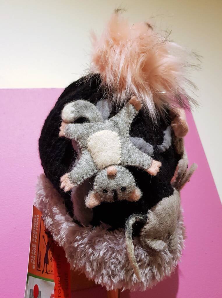 Outback Mates by Pat Robshaw, Banora NSW, Alice Springs Beanie Festival 2023