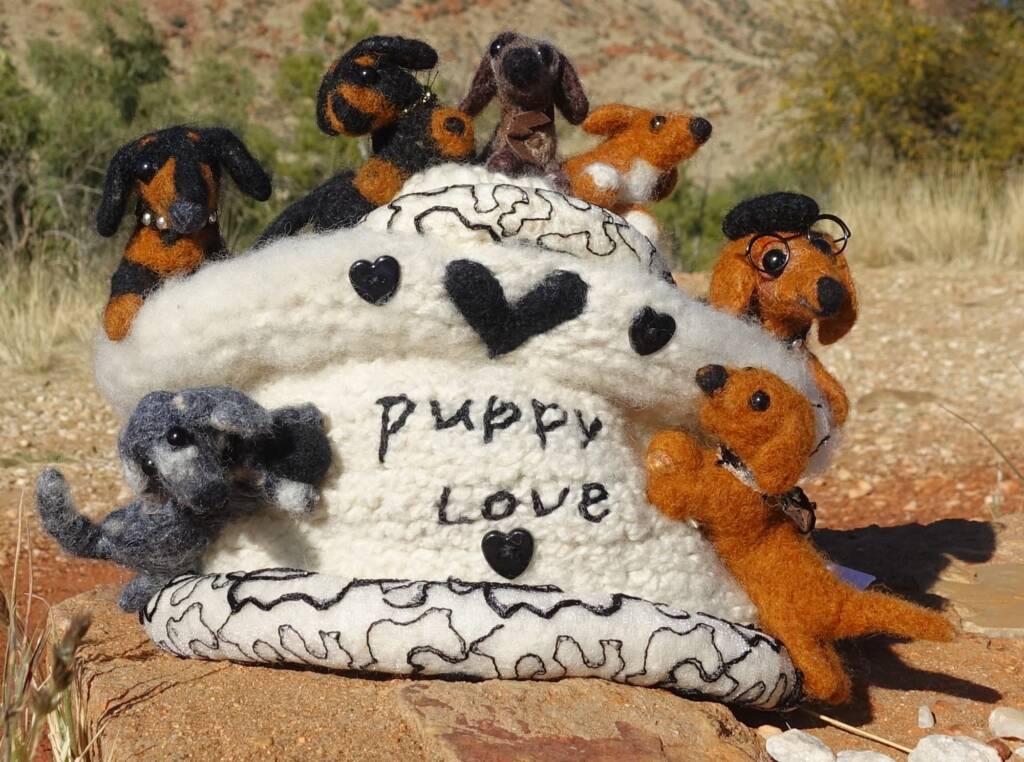 Puppy Love, Alice Springs Beanie Festival, Central Australia NT