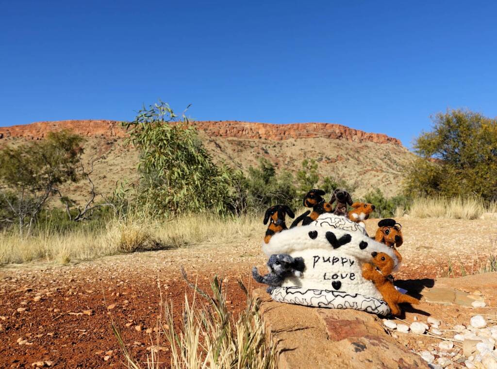 Puppy Love, Alice Springs Beanie Festival, Central Australia NT