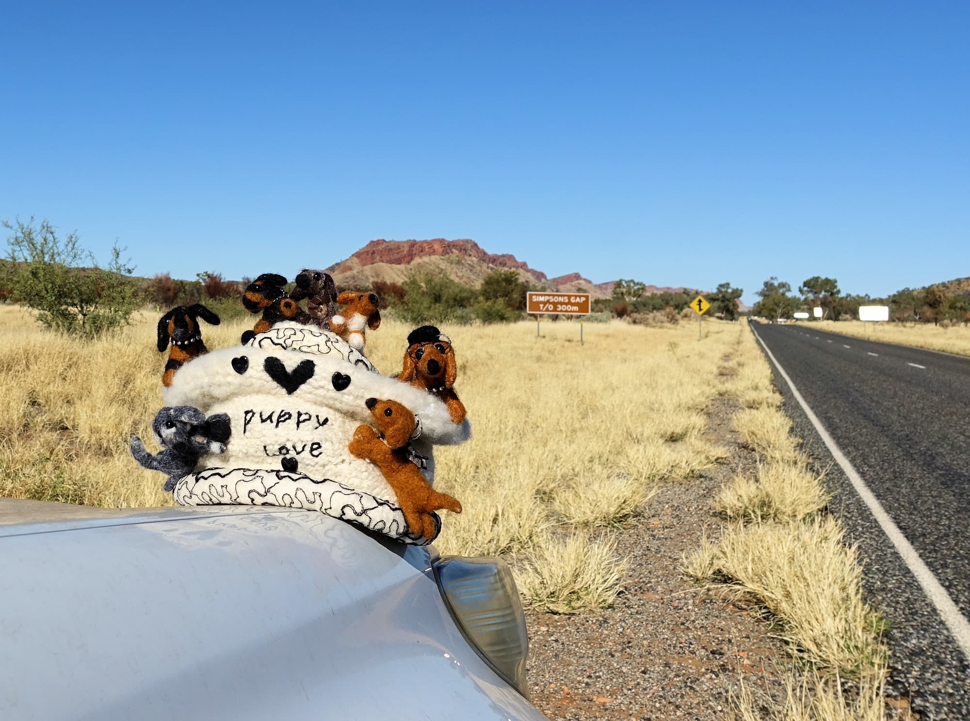 Touring the Red Centre Way with Puppy Love…