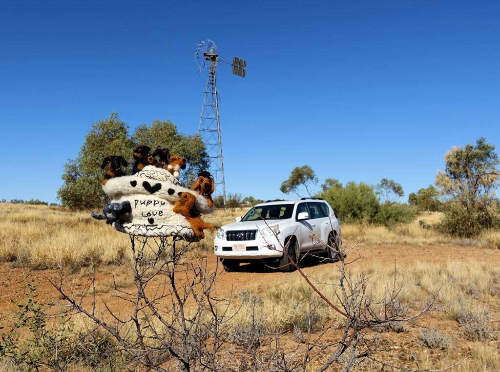 Puppy Love, Alice Springs Beanie Festival, Central Australia NT