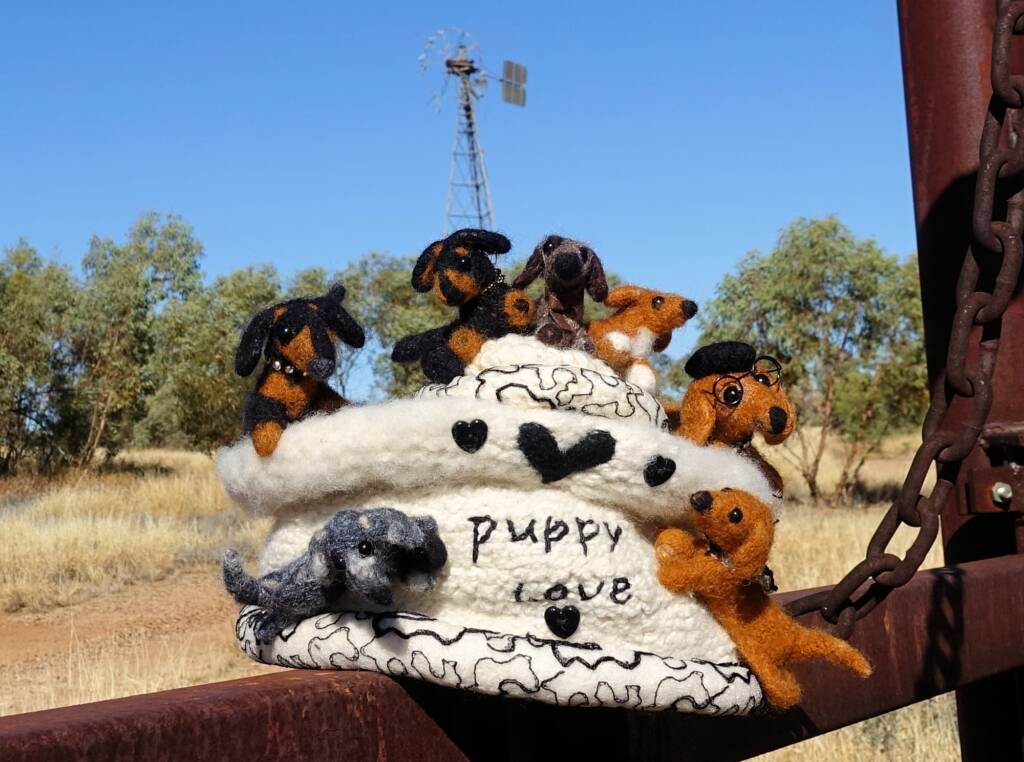 Puppy Love, Alice Springs Beanie Festival, Central Australia NT
