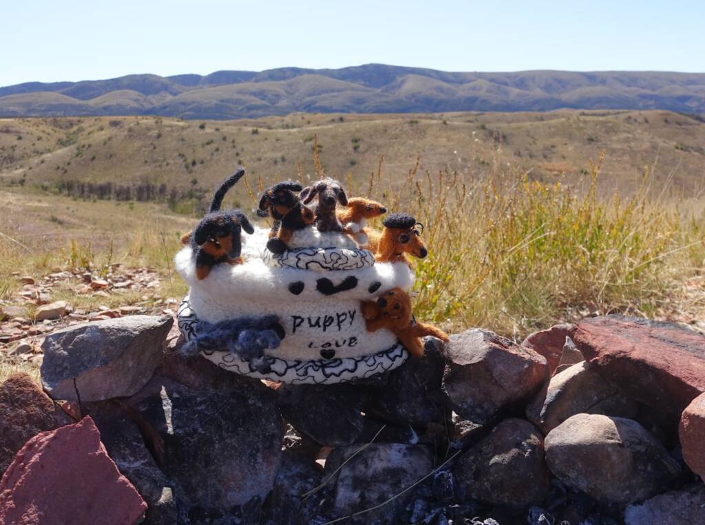 Puppy Love, Alice Springs Beanie Festival, Central Australia NT