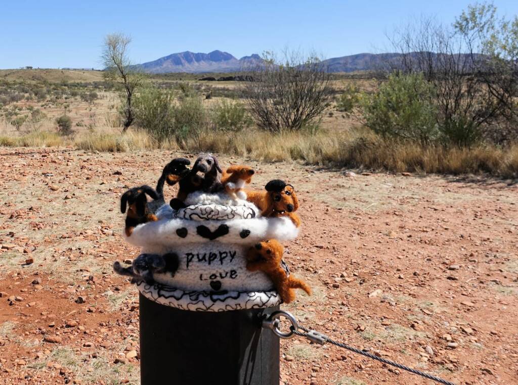 Puppy Love, Alice Springs Beanie Festival, Central Australia NT