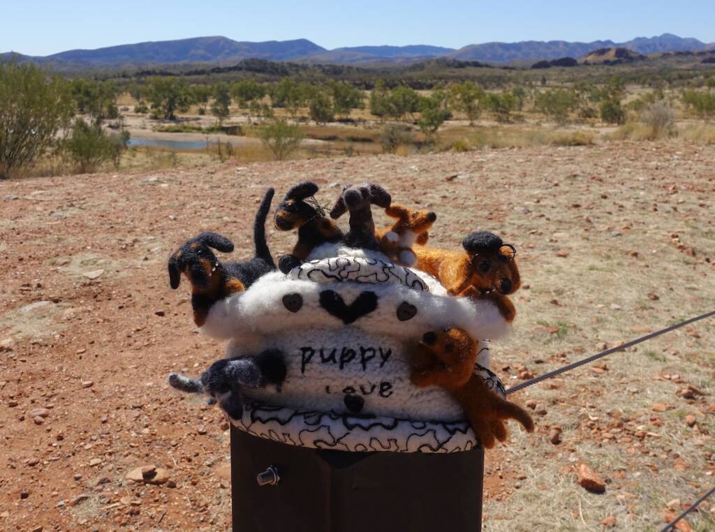Puppy Love, Alice Springs Beanie Festival, Central Australia NT