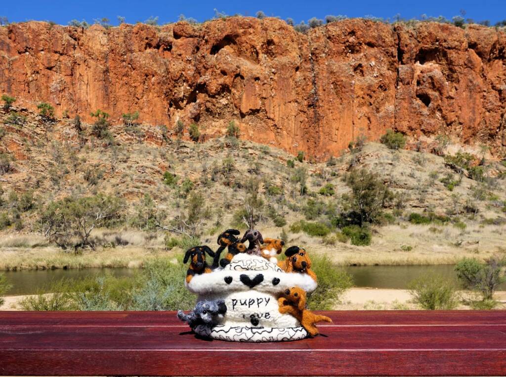 Puppy Love, Alice Springs Beanie Festival, Central Australia NT