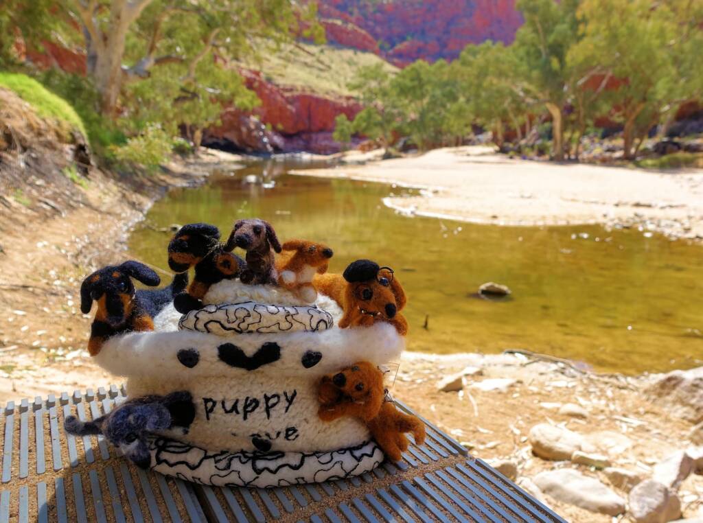 Puppy Love, Alice Springs Beanie Festival, Central Australia NT