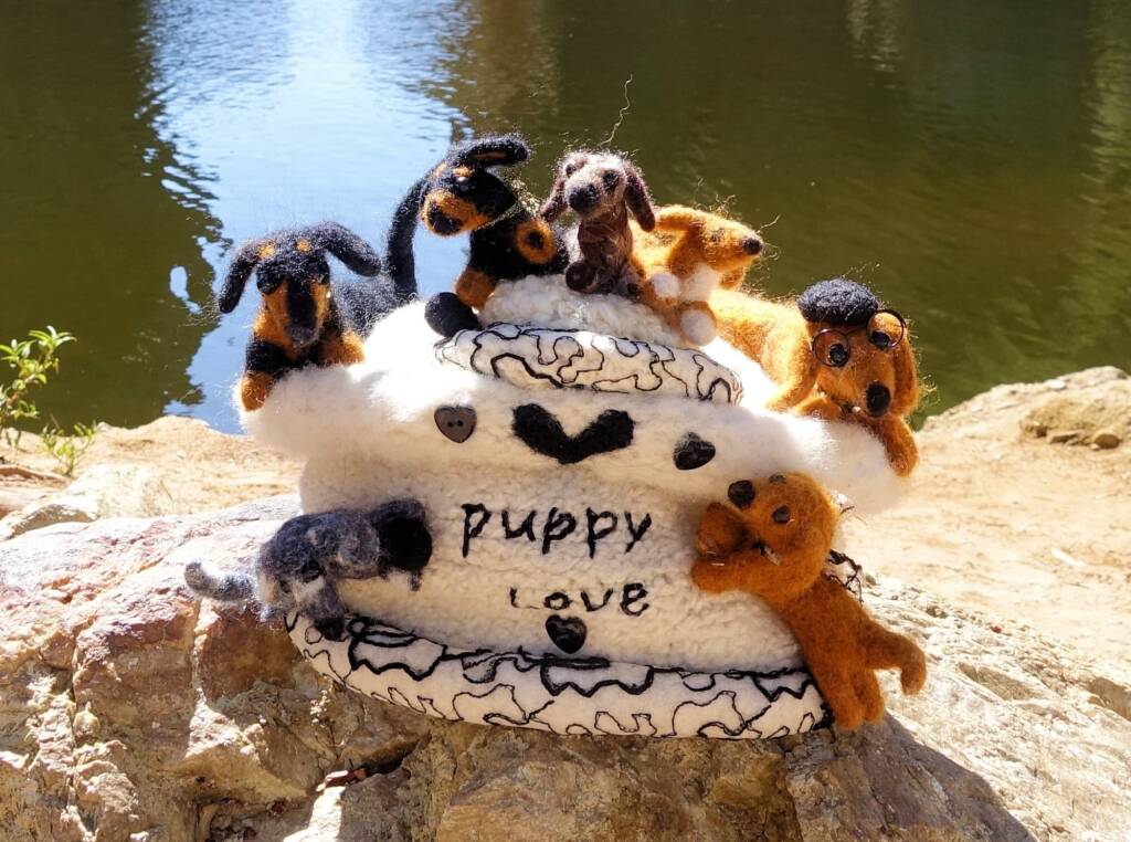 Puppy Love, Alice Springs Beanie Festival, Central Australia NT