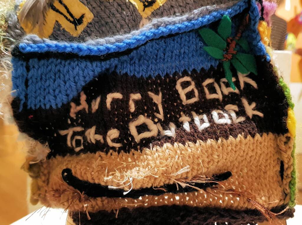Hurry Back to the Outback - Rainbow Travels by Allison Pearson, Alice Springs Beanie Festival 2023
