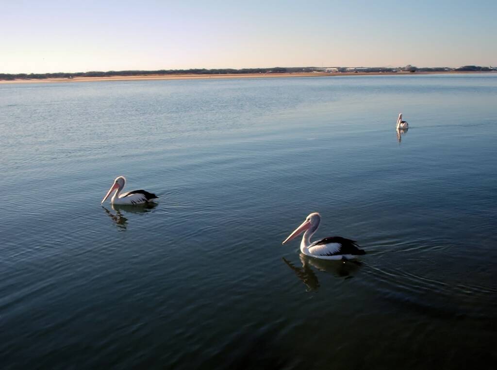 Southport Broadwater, Gold Coast Region QLD © Kyle Smith