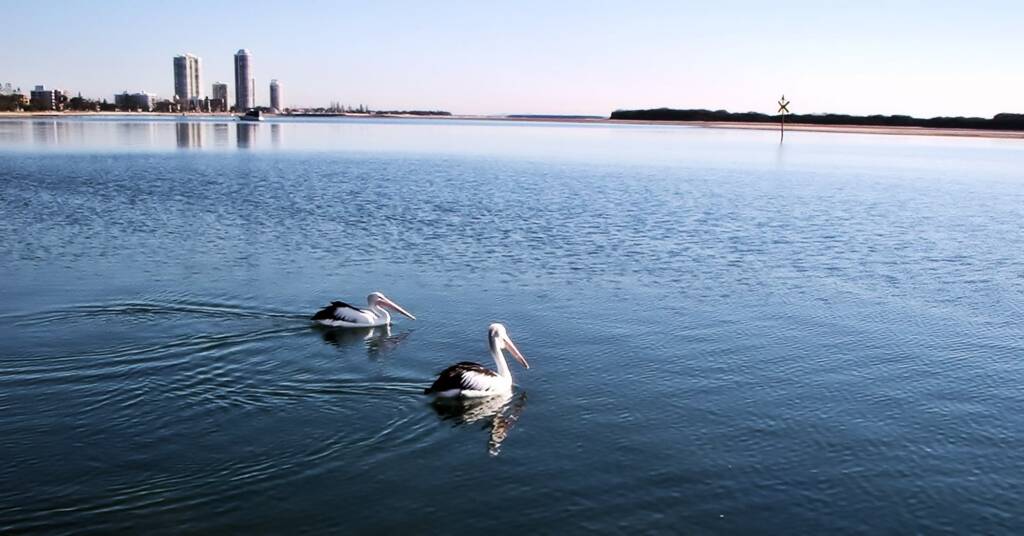 Southport Broadwater, Gold Coast Region QLD © Kyle Smith