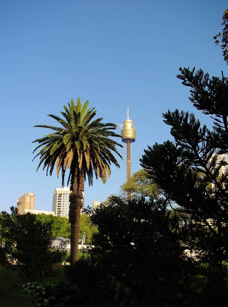 Sydney Tower, NSW