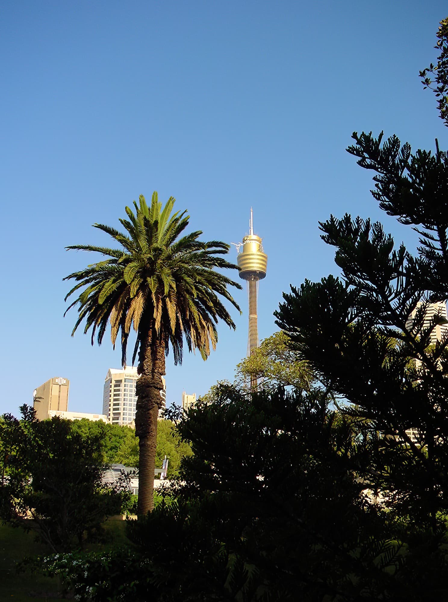 Sydney Tower, NSW