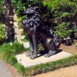 Temple Dogs / Bronze Lion from Thailand, Royal Botanic Garden Sydney, NSW