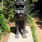 Temple Dogs / Bronze Lion from Thailand, Royal Botanic Garden Sydney, NSW