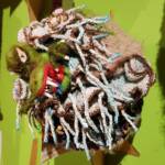 The Mulyawonk by Lorraine Boomer, Moonta Bay SA, Alice Springs Beanie Festival 2023