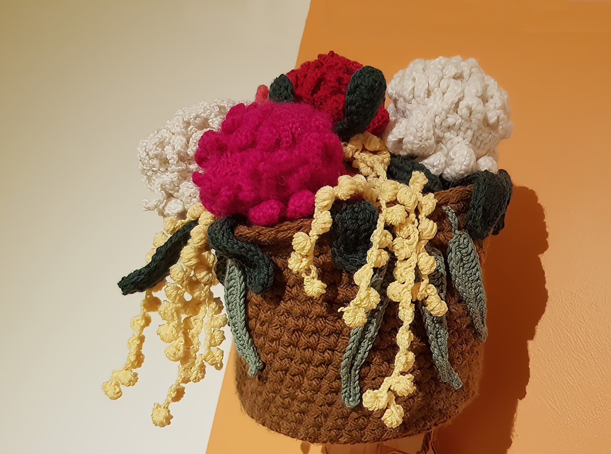 Waratah and Wattle by Naomi To, Adelaide SA, Alice Springs Beanie Festival 2023