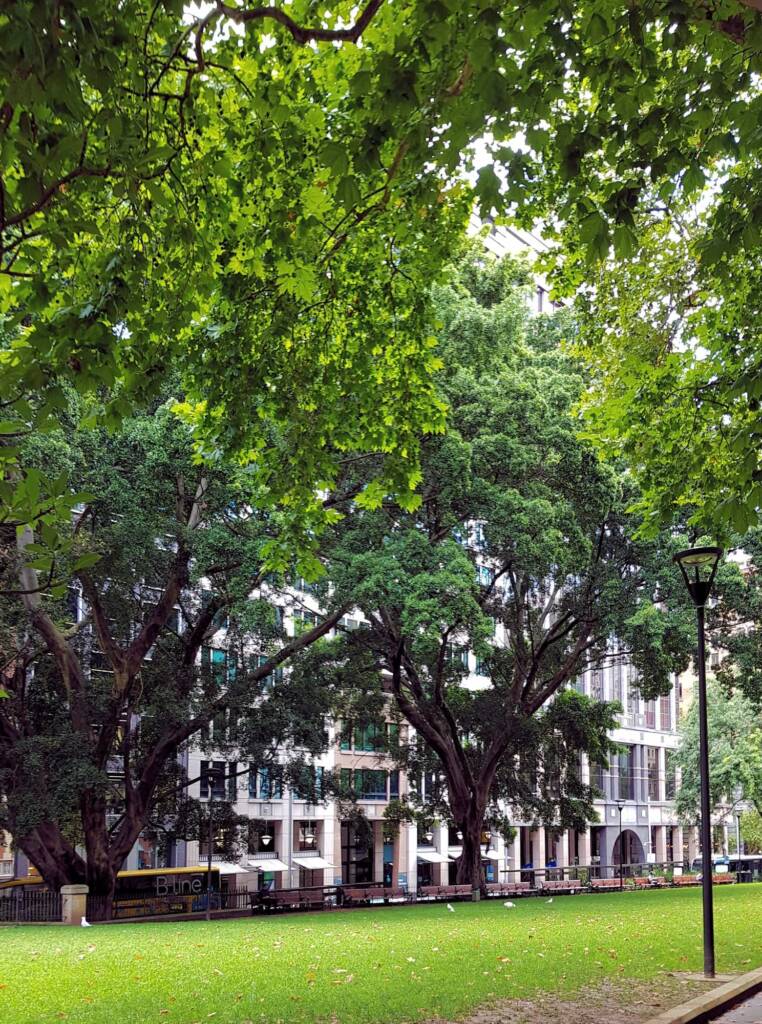 Wynyard Park, Sydney NSW