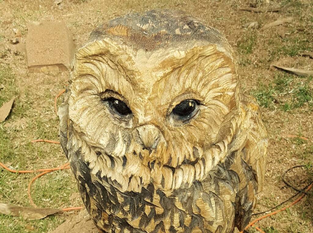 Chainsaw art and wood work at the Alice Springs Show