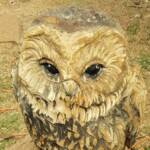 Chainsaw art and wood work at the Alice Springs Show